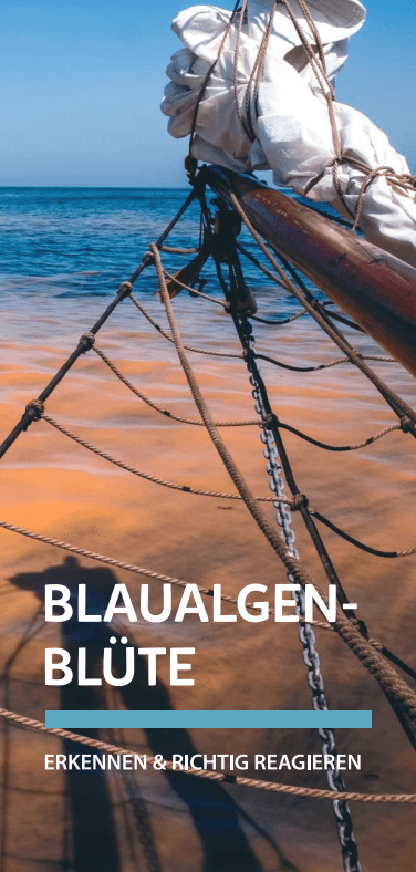 Flyer Blaualgen